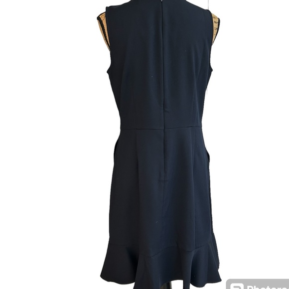 Loft Gilded Button Flounce Pocket Dress Sz 8 NWT - Picture 6 of 9